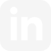 iconmonstr-linkedin-3 1