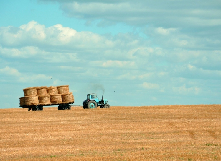 Farms and Insurance