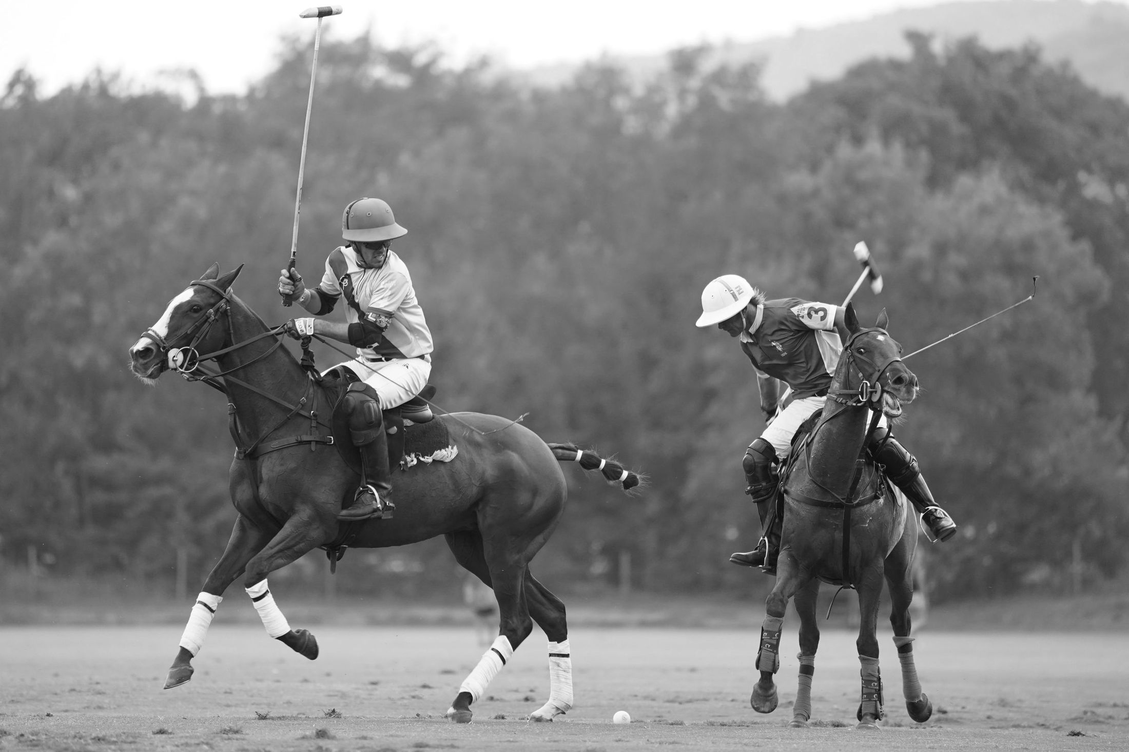 Polo players competing for the ball on horseback
