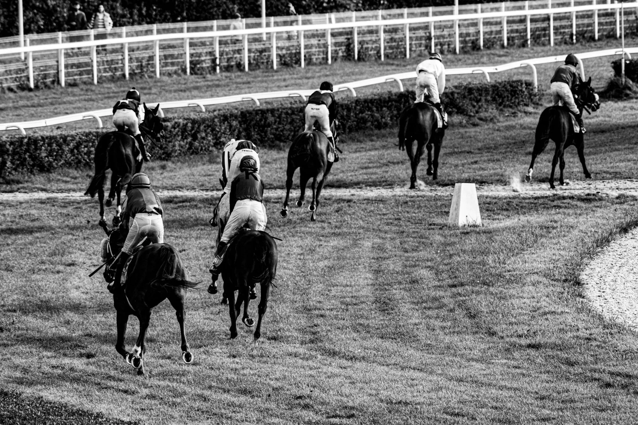 Jockeys racing on horseback, seen from behind on a turf track